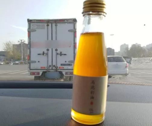 赣榆人讨厌的这个野果子，有人专门来捡赚钱，榨油吃了能防癌……