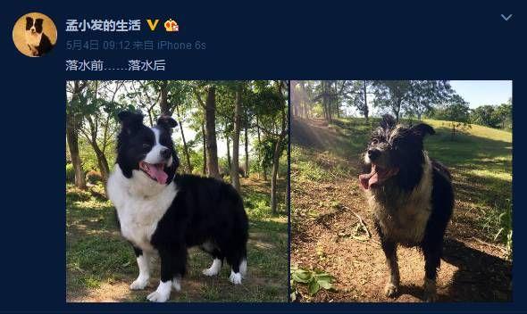 孟非：我是个普通的南京市民，比较恋家，最喜欢随遇而安的生活