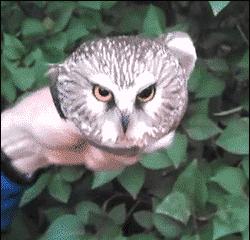 医院故事纪录片,医院发生的奇葩故事