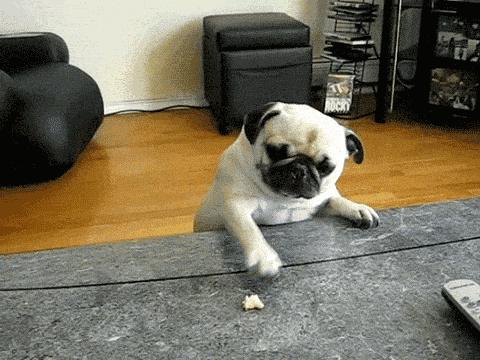 医院故事纪录片,医院发生的奇葩故事