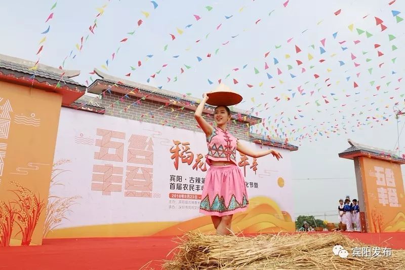 秋分客至月近人稻花香里闹丰年——宾阳县古辣镇第二届稻田艺术文化节暨首届农民丰收节开幕