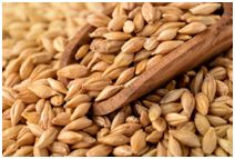 丰收节献五谷,丰收节五谷不分技巧