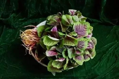 秋分节气的知识大全,秋分阴阳相伴图片