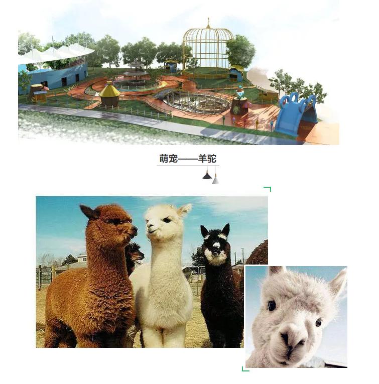 国庆田园嘉乐比，六重惊喜等着你！