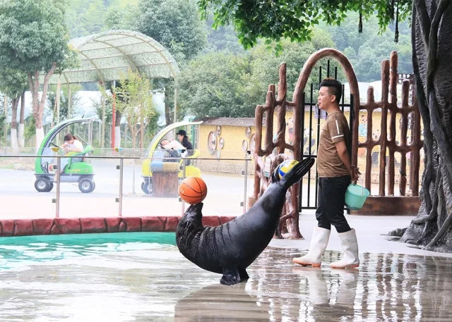 国庆田园嘉乐比，六重惊喜等着你！