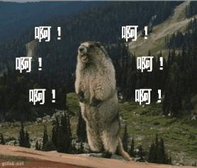 国庆田园嘉乐比，六重惊喜等着你！