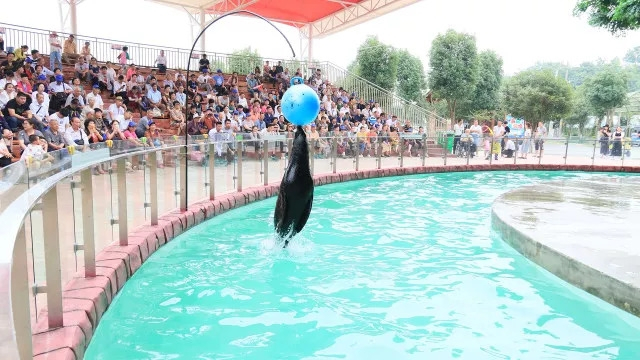 国庆田园嘉乐比，六重惊喜等着你！