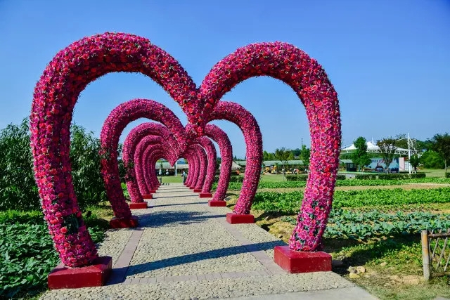 国庆田园嘉乐比，六重惊喜等着你！