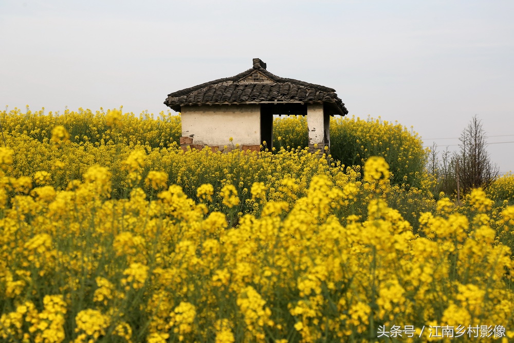 湖州百村｜胡溇——东吴西越界分江浙