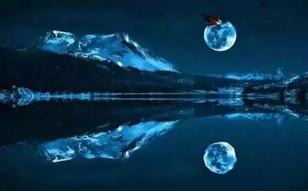 含有春花秋月的诗句50句,中秋月亮思念恋人的诗词