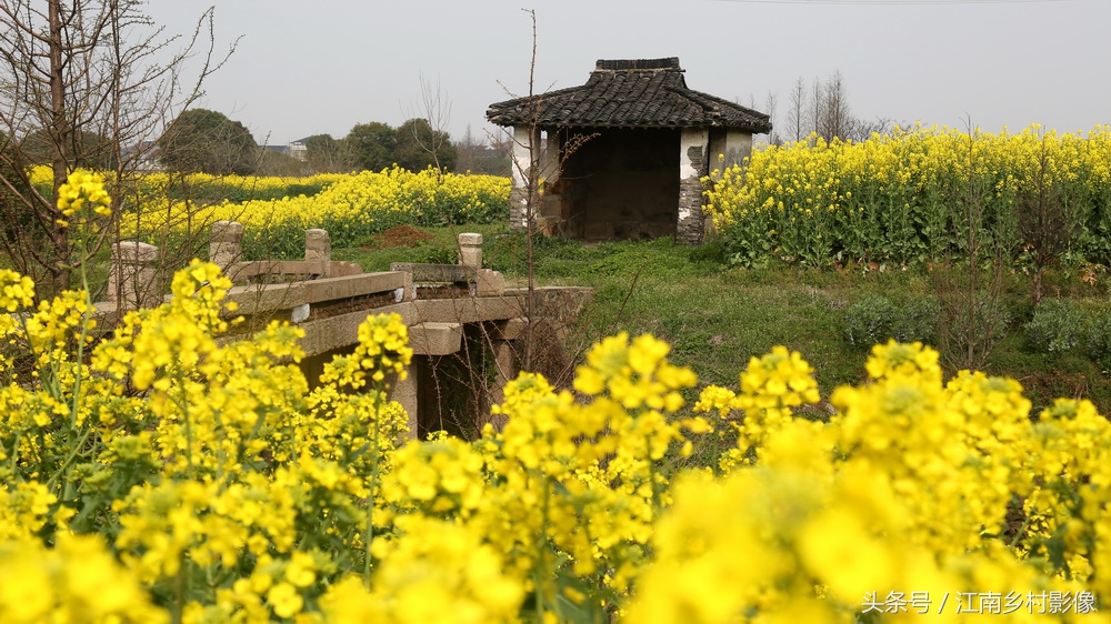 湖州百村｜胡溇——东吴西越界分江浙