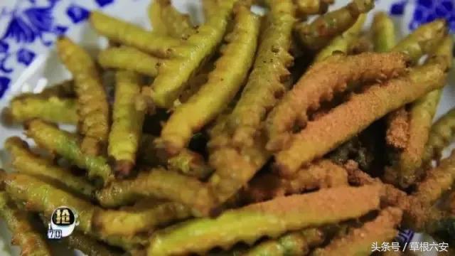 六安这种常见的虫子，竟然卖到了180一斤！你家附近有吗？