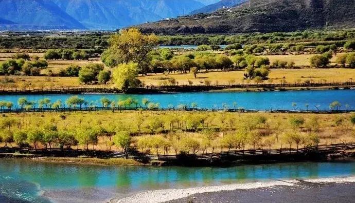 秋天的西藏林芝,一定不会错过的就是秋天的林芝