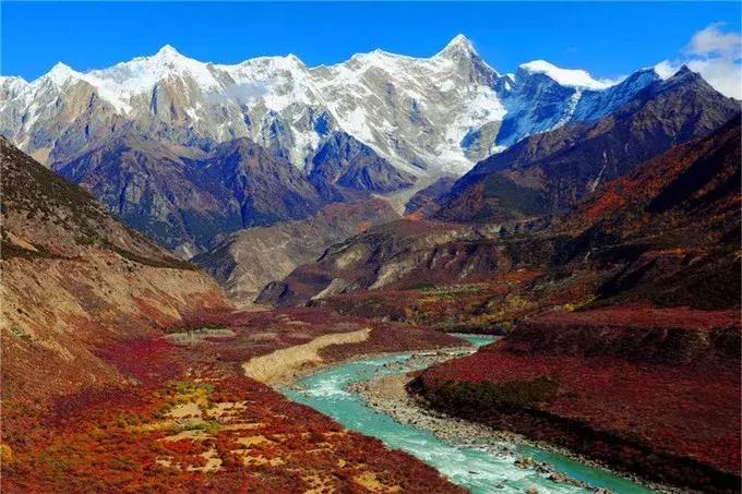 秋天的西藏林芝,一定不会错过的就是秋天的林芝