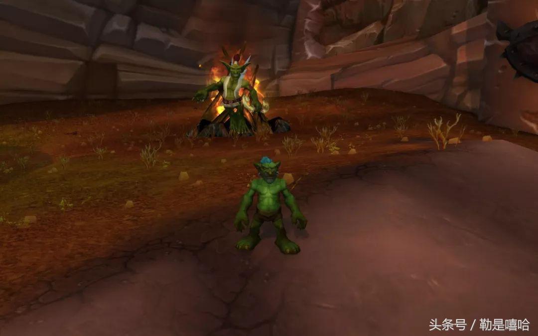 魔兽世界各种稀有宠物排名,魔兽世界稀有宠物排行榜