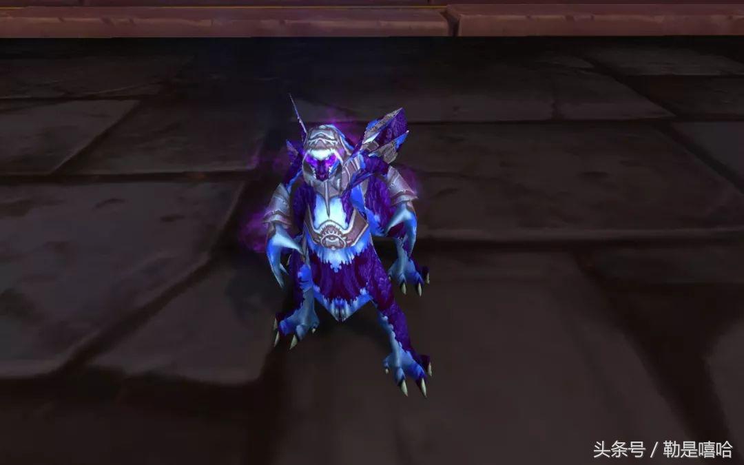 魔兽世界各种稀有宠物排名,魔兽世界稀有宠物排行榜