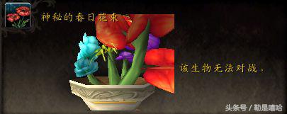 魔兽世界各种稀有宠物排名,魔兽世界稀有宠物排行榜