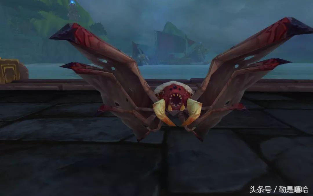 魔兽世界各种稀有宠物排名,魔兽世界稀有宠物排行榜