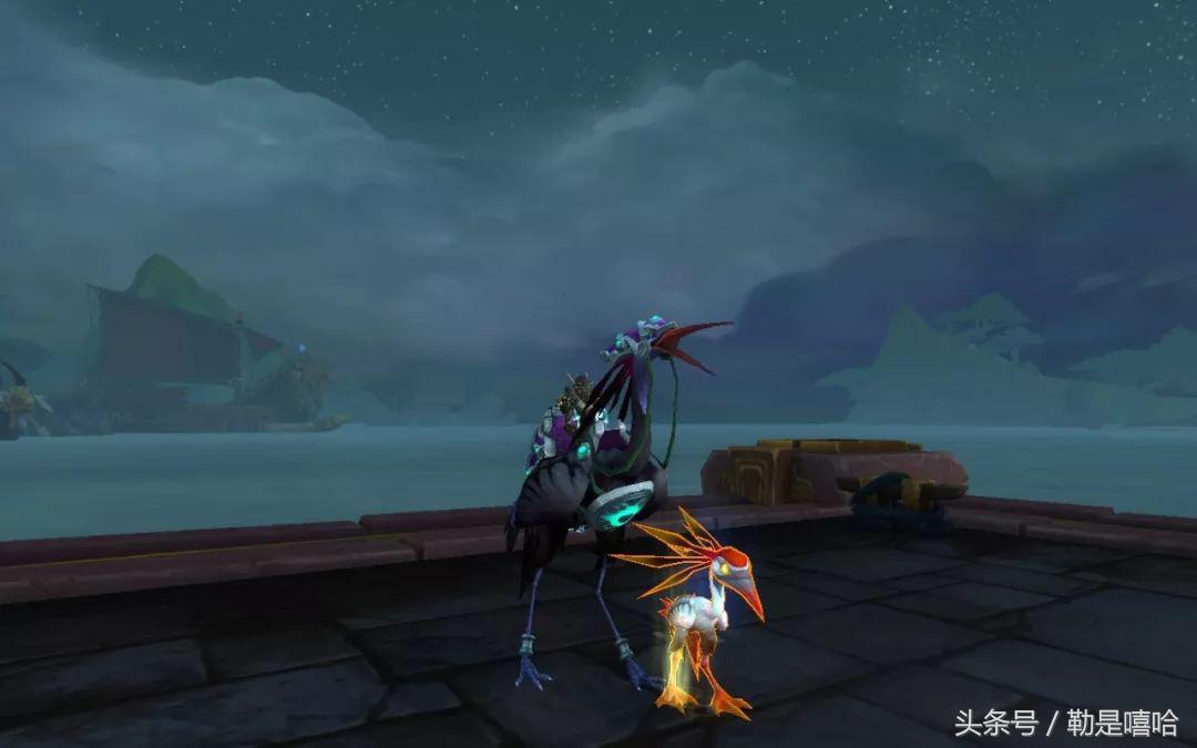 魔兽世界各种稀有宠物排名,魔兽世界稀有宠物排行榜