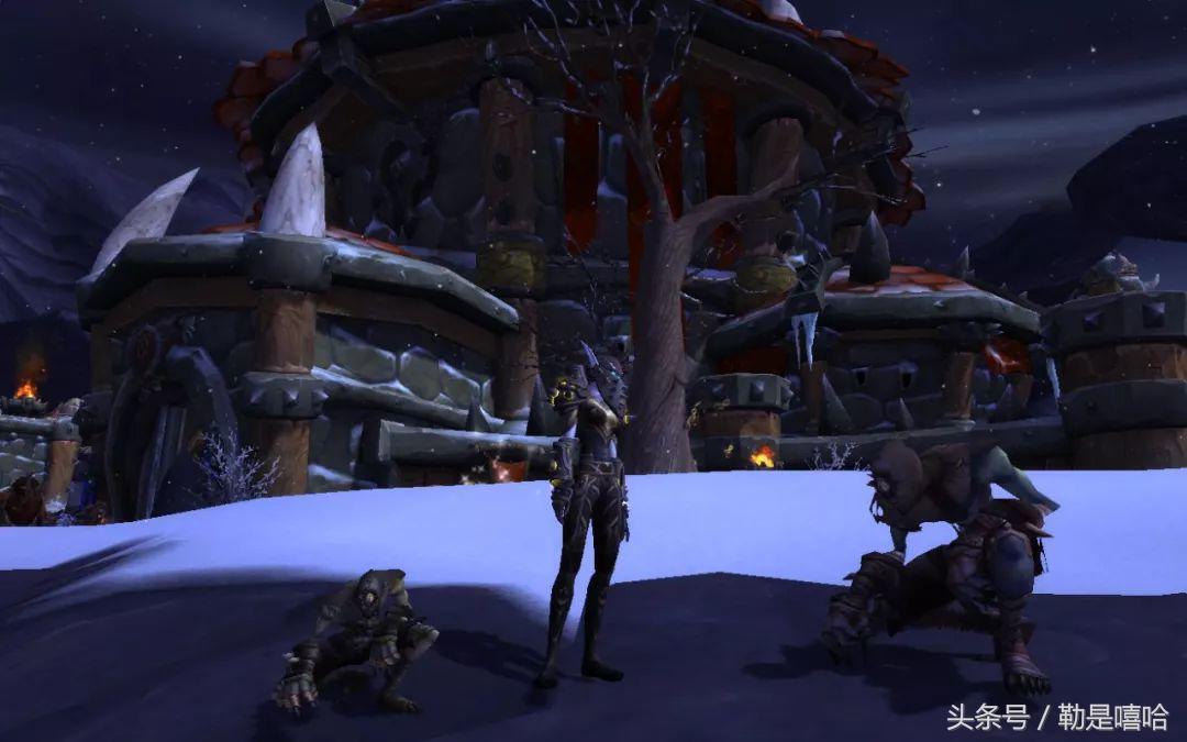 魔兽世界各种稀有宠物排名,魔兽世界稀有宠物排行榜