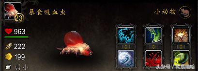 魔兽世界各种稀有宠物排名,魔兽世界稀有宠物排行榜