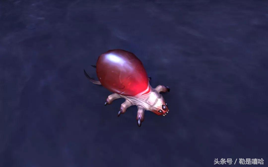 魔兽世界各种稀有宠物排名,魔兽世界稀有宠物排行榜