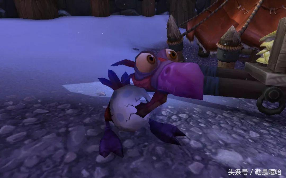 魔兽世界各种稀有宠物排名,魔兽世界稀有宠物排行榜