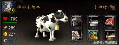 魔兽世界各种稀有宠物排名,魔兽世界稀有宠物排行榜