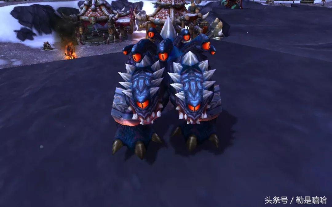 魔兽世界各种稀有宠物排名,魔兽世界稀有宠物排行榜