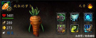 魔兽世界各种稀有宠物排名,魔兽世界稀有宠物排行榜