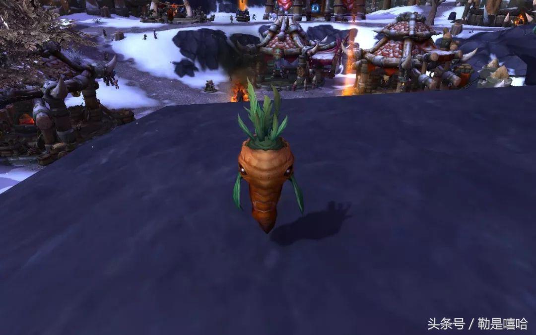 魔兽世界各种稀有宠物排名,魔兽世界稀有宠物排行榜