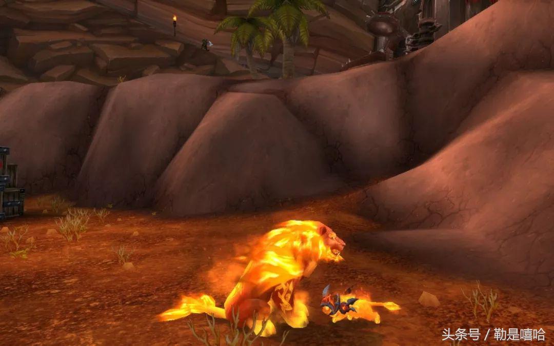 魔兽世界各种稀有宠物排名,魔兽世界稀有宠物排行榜