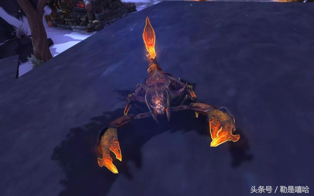 魔兽世界各种稀有宠物排名,魔兽世界稀有宠物排行榜