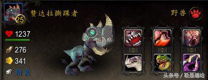 魔兽世界各种稀有宠物排名,魔兽世界稀有宠物排行榜