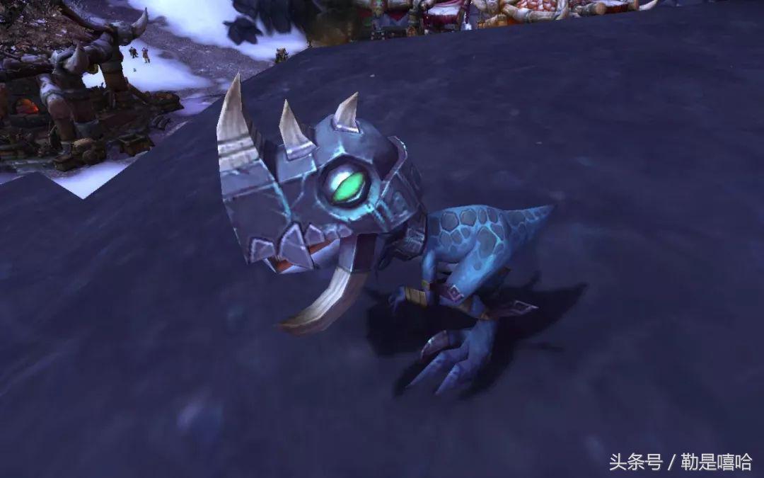 魔兽世界各种稀有宠物排名,魔兽世界稀有宠物排行榜