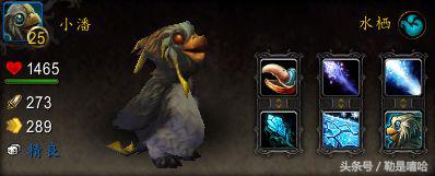 魔兽世界各种稀有宠物排名,魔兽世界稀有宠物排行榜