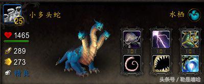 魔兽世界各种稀有宠物排名,魔兽世界稀有宠物排行榜