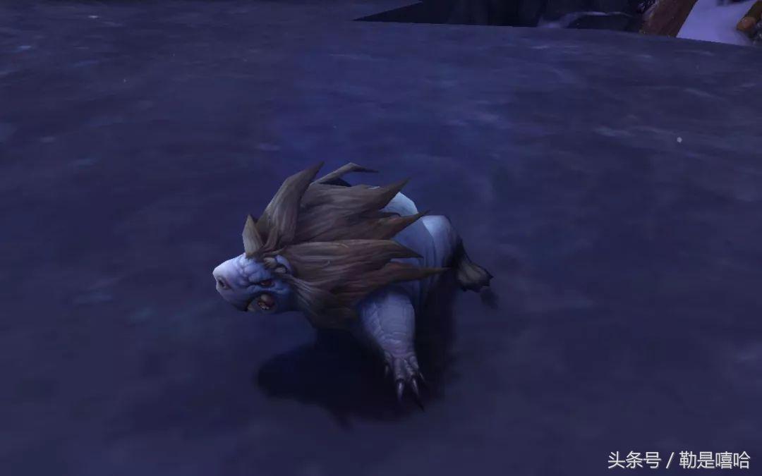 魔兽世界各种稀有宠物排名,魔兽世界稀有宠物排行榜