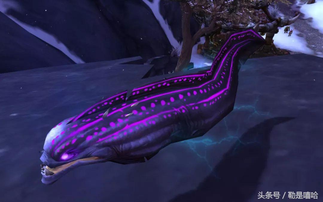 魔兽世界各种稀有宠物排名,魔兽世界稀有宠物排行榜