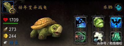 魔兽世界各种稀有宠物排名,魔兽世界稀有宠物排行榜