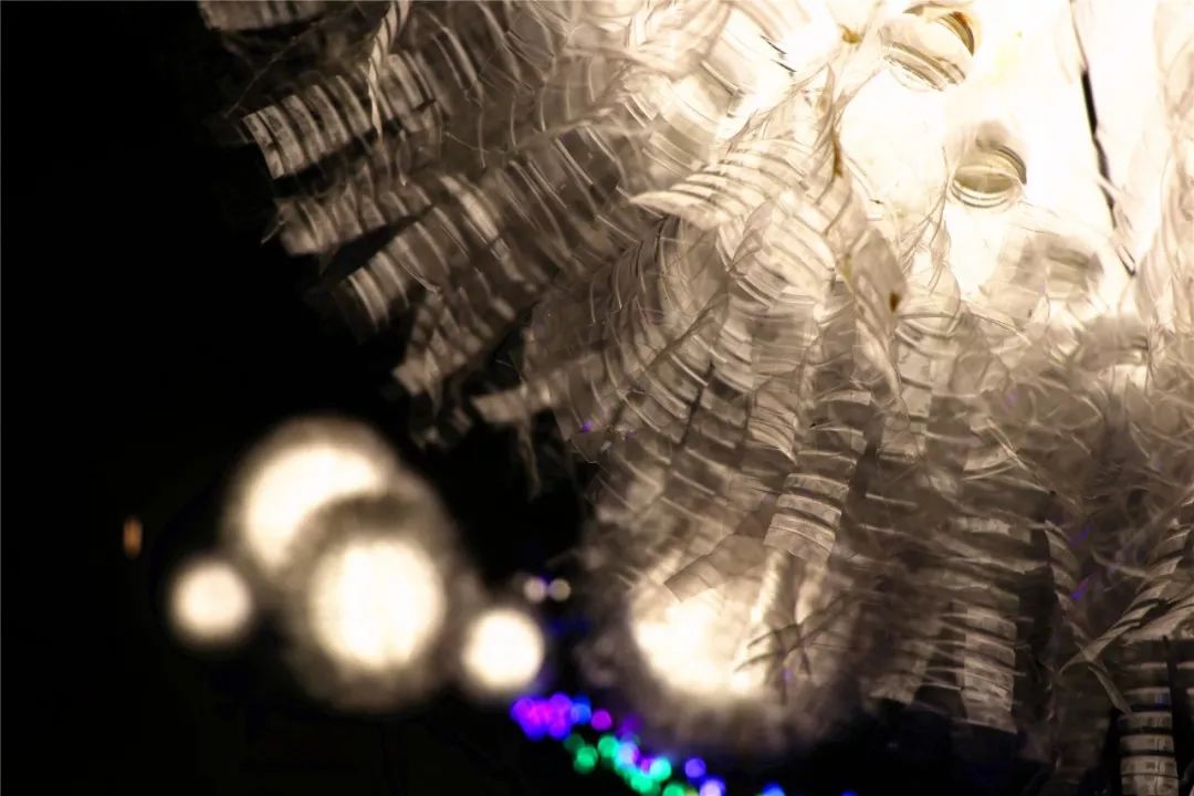 美美美！现在起到10月底，佛山这个超靓灯会喊你来约会，免费！