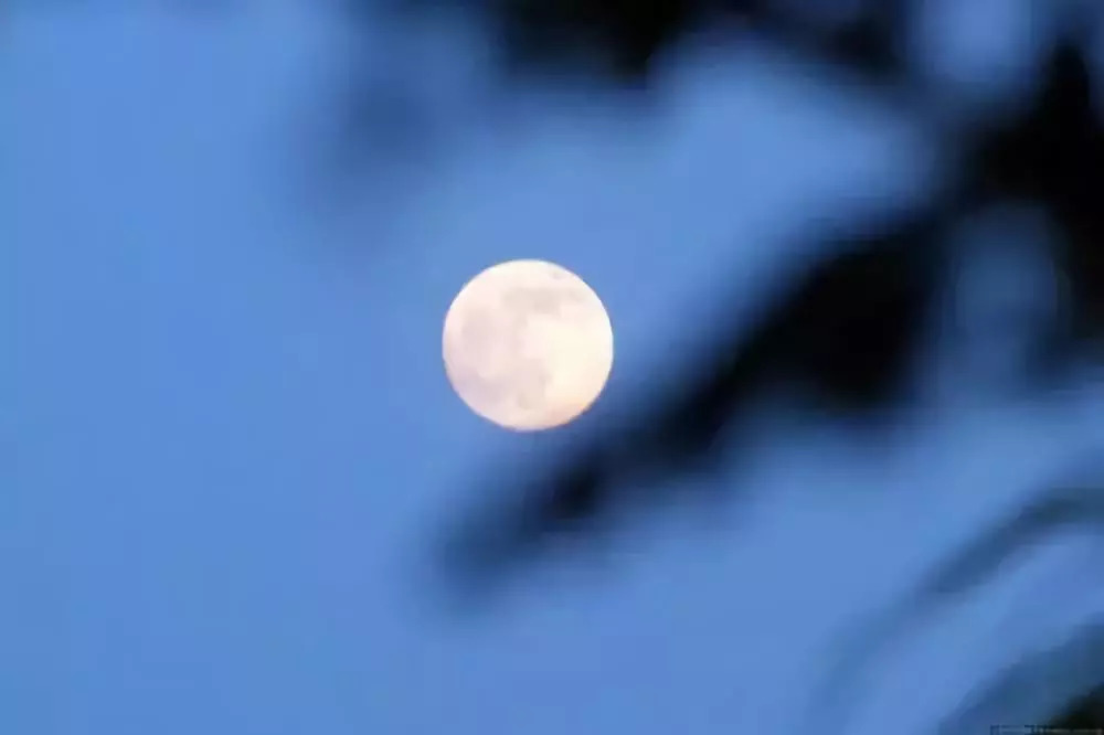 青岛海天中心观景台赏月,青岛黄山村赏月