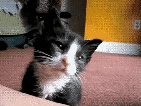 午睡防止手麻的姿势,午睡坐姿怎么不伤颈椎