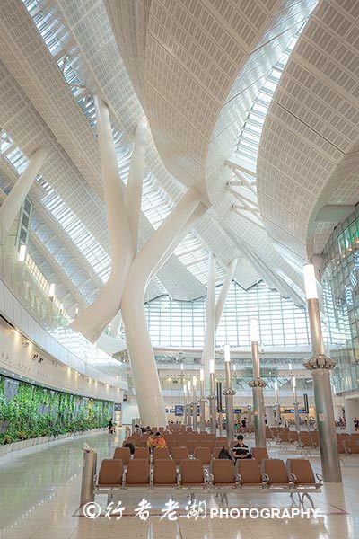 全国66个站直通香港西九龙,广州南站坐高铁去香港西九龙流程