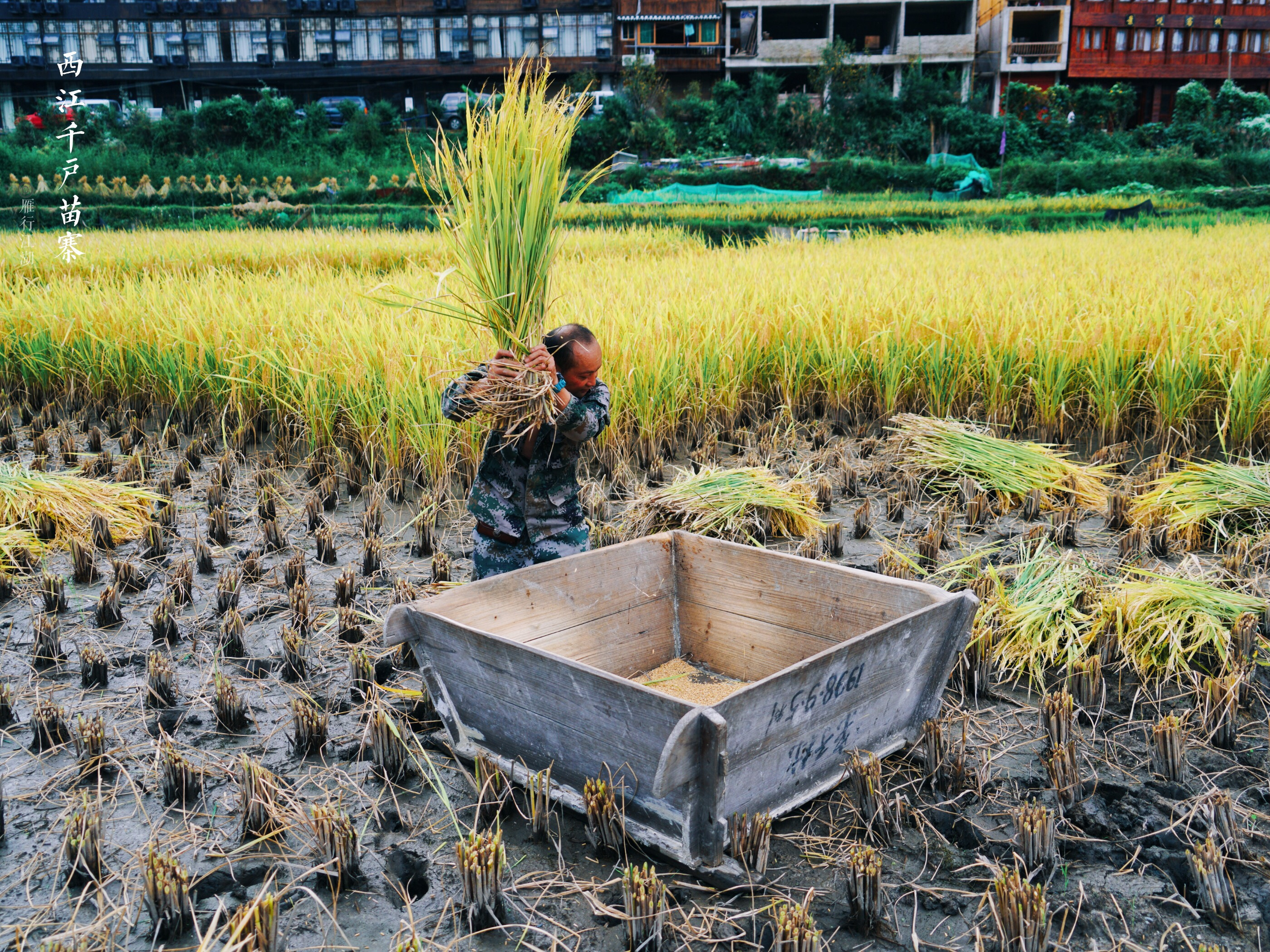 西江千户苗寨最大苗寨,世界上最大的苗寨西江千户苗寨