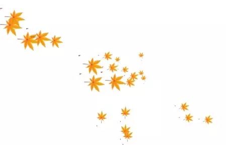 但愿人长久千里共婵娟中秋祝词,月圆中秋但愿人长久千里共婵娟