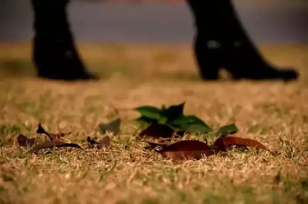 秋天适合旅游的地方易县,清西陵秋冬美景