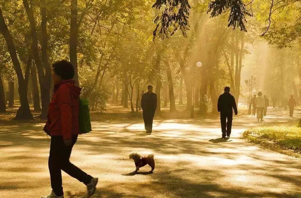 秋天适合旅游的地方易县,清西陵秋冬美景