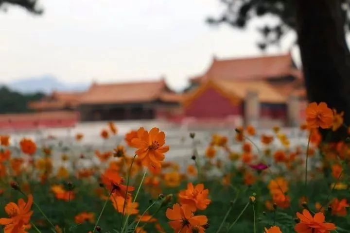 秋天适合旅游的地方易县,清西陵秋冬美景