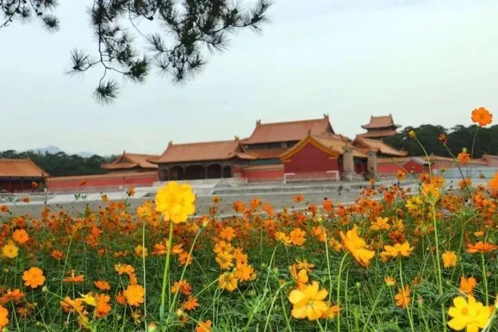 秋天适合旅游的地方易县,清西陵秋冬美景